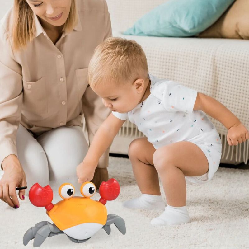 Crabe danseur | Crabo™