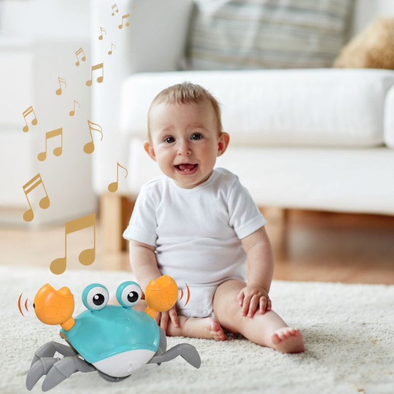 Crabe danseur | Crabo™